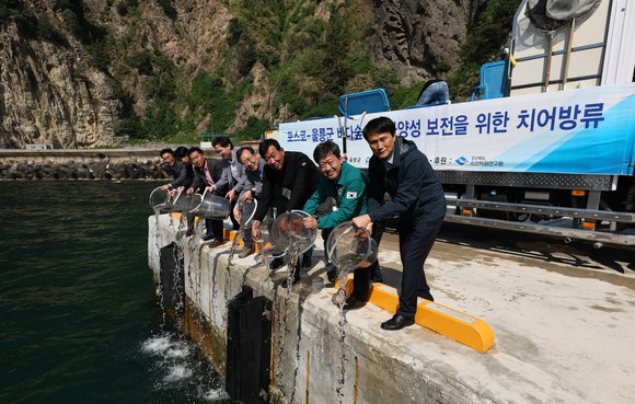 포스코와 울릉군 관계자들이 바다숲 생물다양성 보전을 위해 치어를 방류하고 있다. ⓒ 포스코