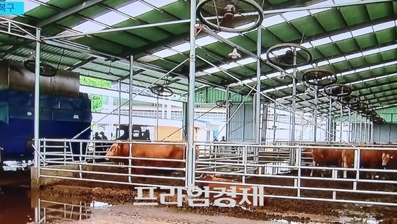 청양지역 집중호우 축사 침수 모습. ⓒ 프라임경제