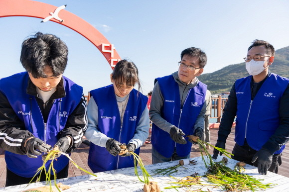 효성, 효성티앤씨, 효성첨단소재, 효성중공업, 효성화학 임직원이 경남 거제시 다포항 일대에서 잘피 이식 준비를 하고 있다. ⓒ 효성