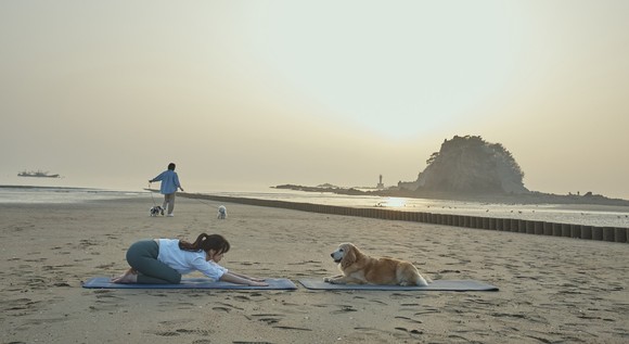꽃지해수욕장에서 반려인이 도가(Dog+Yoga)를 즐기는 모습. ⓒ 태안군