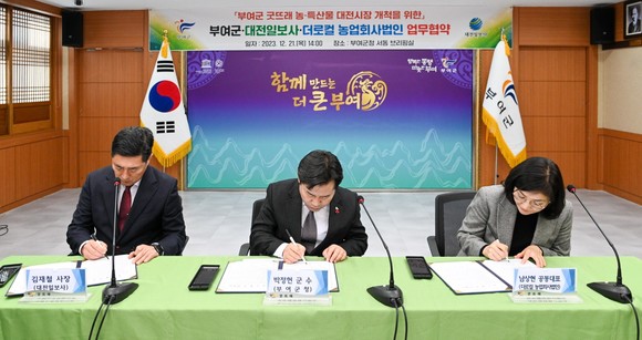 더로컬법인 이미지