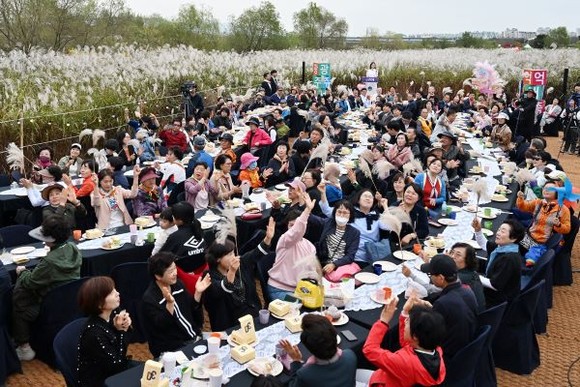 광주서창억새축제’ 현장. ⓒ 광주광역시 서구청