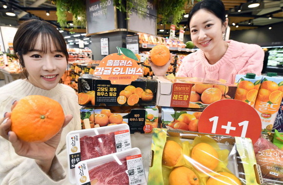 홈플러스가 오는 11~17일까지 7일간 새콤달콤한 과즙과 탄탄한 과육이 일품인 각종 만감류를 비롯해 여러 연관 상품을 최적가와 1+1에 선보이는 '감귤 유니버스' 행사를 진행한다. © 홈플러스