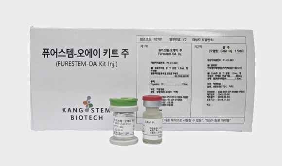 퓨어스템-오에이 키트주는 연골분화능이 탁월한 ‘제대혈 유래 중간엽줄기세포’와 연골분화 미세환경을 조성하는 ‘무세포성 연골기질’을 혼합 투여해 줄기세포의 연골재생효능을 극대화한 융복합제제이다. ⓒ 강스템바이오텍
