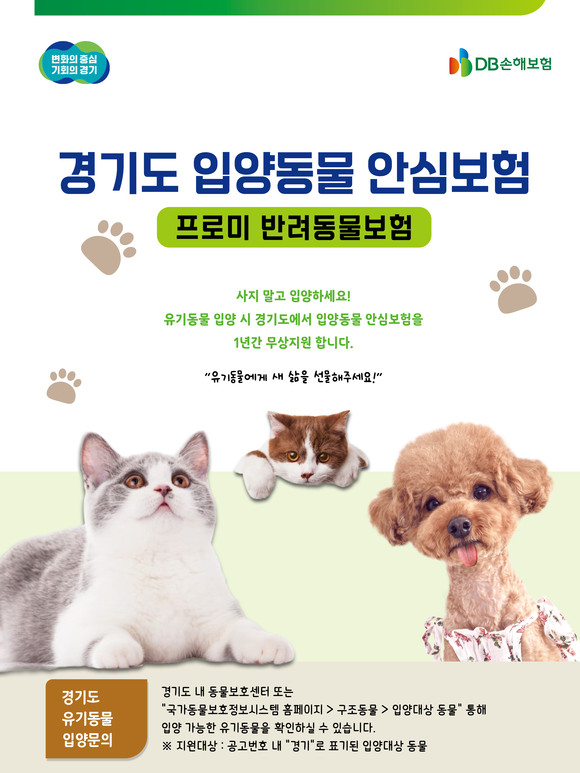 DB손해보험이 '2024년 경기도 무한돌봄 입양동물 안심보험 지원사업'에 최종 사업자로 선정됐다. ⓒ DB손해보험