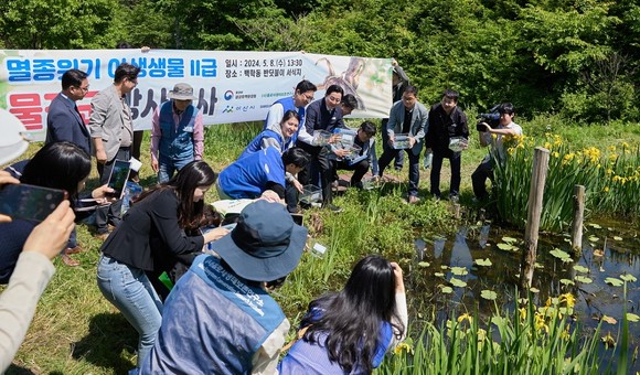 박경귀 아산시장이 지난 8일 송악면 동화리 습지에 멸종위기 야생생물Ⅱ급 물장군 35쌍, 70개체를 방사하고 있다. ⓒ 아산시
