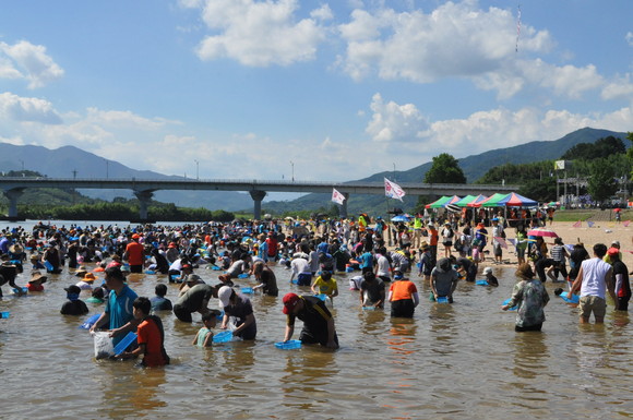 하동섬진강문화재첩축제에서 황금재첩을 찾고 있다. ⓒ 프라임경제