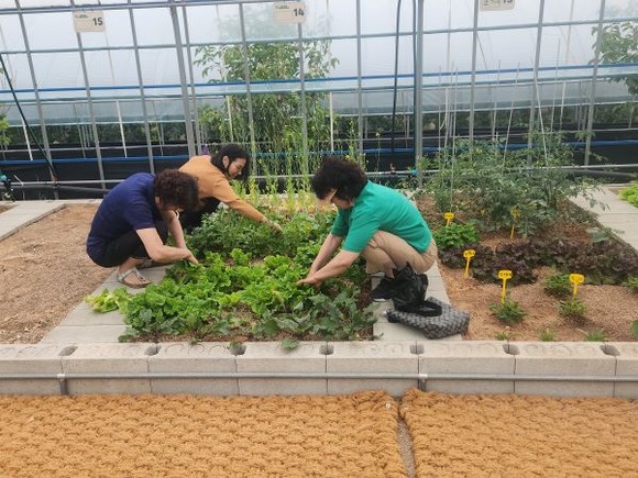 담양군은 고향사랑기부제 답례품으로 20만원 이상 기부하면, 1구간당 9㎡(약 3평) 규모의 텃밭을 제공하는 고향사랑 사계절 텃밭을 운영하고 있다. ⓒ 담양군