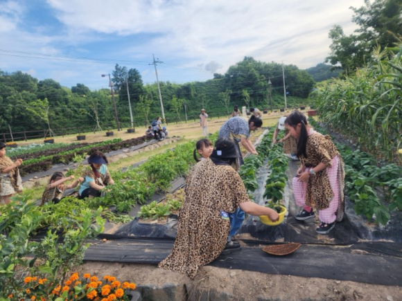 선사인 이미지