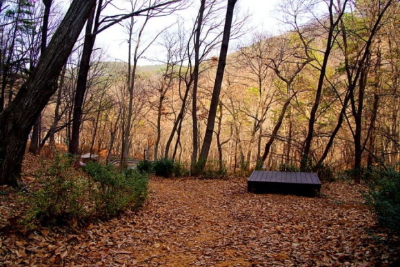 노랑풍선은 공주문화관광재단과 함께 몸과 마음의 힐링을 느낄 수 있는 '웰니스 인 공주' 상품을 출시했다. © 노랑풍선