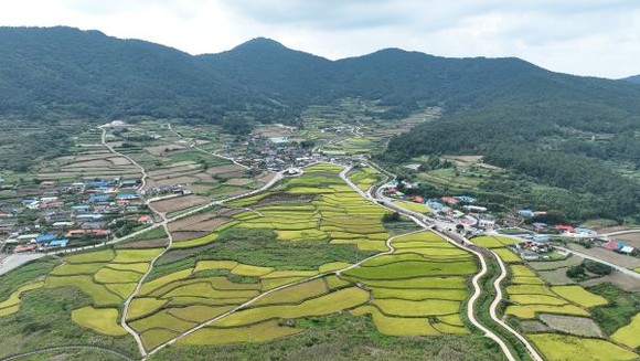 완도군 농촌공간정비사업 대상지인 청산면 상서지구 전경. ⓒ 완도군