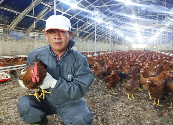 전북 정읍에 위치한 토종닭 양계장 '이충환 농장'의 이충환 농장주. ⓒ 롯데쇼핑