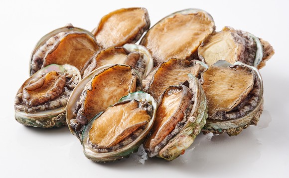 롯데마트가 바다째로 퍼올린 '집념전복'을 선보인다. © 롯데쇼핑