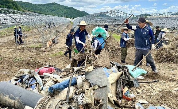 충남교육청 교직원들이 15일 수해복구 현장을 찾아 봉사활동을 실시하고 있다. ⓒ 충남교육청