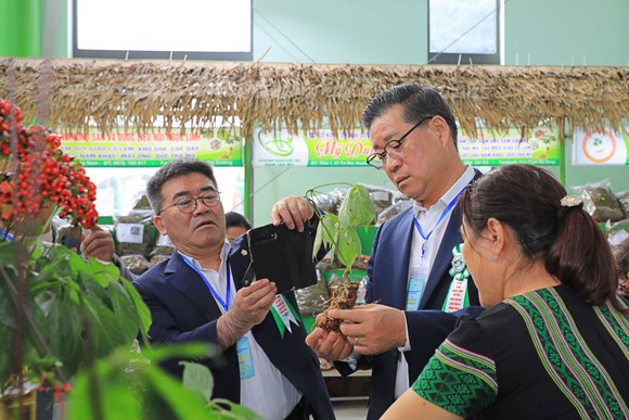 함양군 방문단이 녹린산삼축제장을 방문하고 있다. ⓒ 함양군