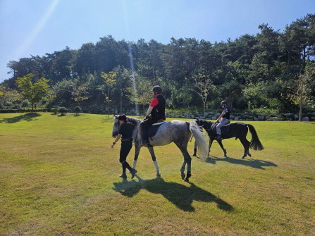 전남 영광군의 남도한바퀴 승마체험. ⓒ 영광군