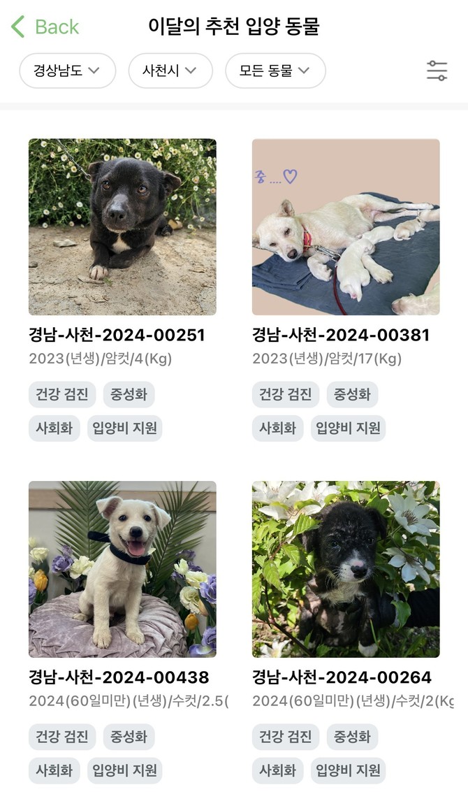 사천시 유기동물 플랫폼 포인핸드 도입. ⓒ 사천시