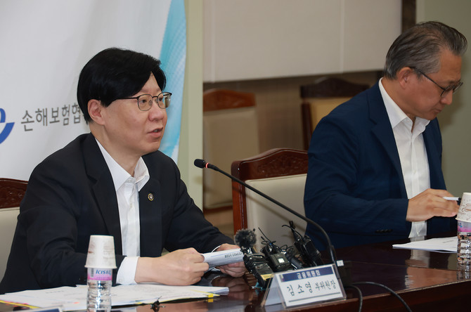 김소영 금융위원회 부위원장은 지난 27일 열린 제3차 보험개혁회의에서 보험사들의 리스크 관리를 당부했다. 금리가 인하될 것으로 전망됨에 따라 보험사들의 건전성 하락이 예상되고 있기 때문이다. ⓒ 금융위원회