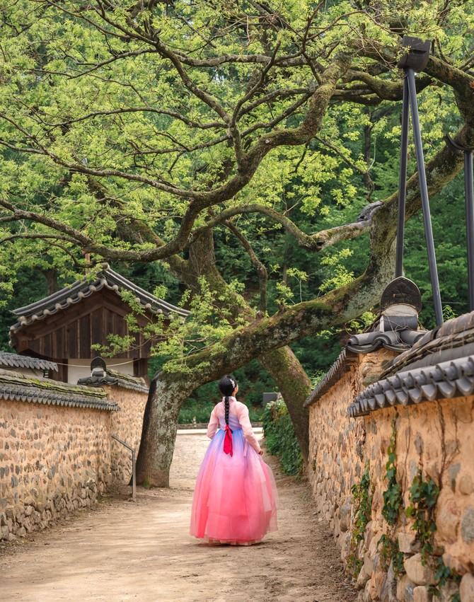 wellnessmate 산청 참가자 모집. ⓒ 산청군