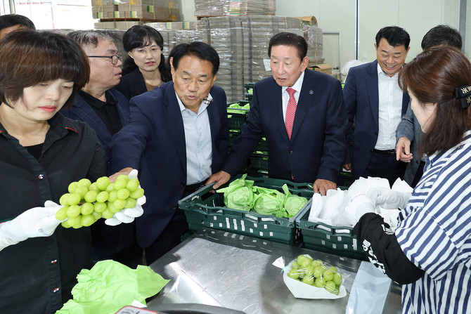 조근제 함안군수가 샤인머스캣 공동출하장을 점검하고 있다. ⓒ 함안군