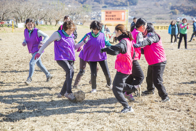 여성 참가자들이 평사리들판에서 논두렁축구대회를 하고 있다. ⓒ 하동군