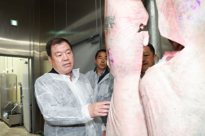 이승화 산청군수가 산청 흑돼지를 살펴보고 있다. ⓒ 산청군