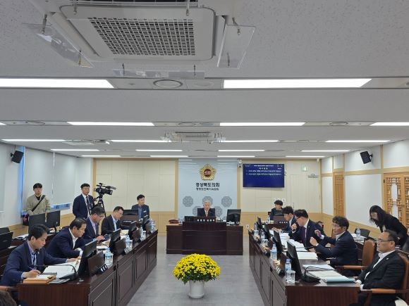 경북도의회 행정보건복지위원회는 지난 12일 경북여성정책개발원, 저출생극복본부에 대한 2024년 행정사무감사를 실시했다. ⓒ 경북도의회