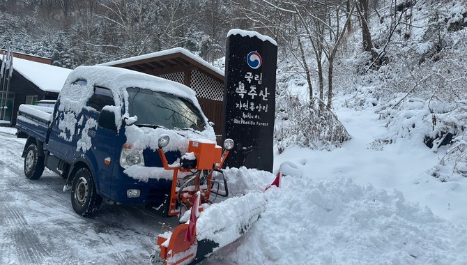 27일 국립복주산자연휴양림 제설 광경. ⓒ 산림청