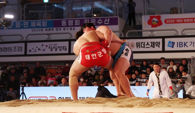 지난 1월29일 태안종합실내체육관에서 열린 2025 태안설날장사씨름대회 장면. ⓒ 태안군