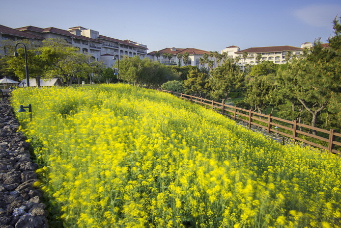 제주신라호텔은 가족사진 전용 프로그램 '패밀리 포토' 프로그램을 새로 출시한다. © 호텔신라