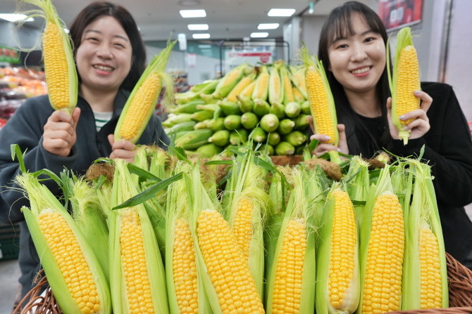 롯데마트와 롯데슈퍼는 오는 15일부터 전 점에서 '초당옥수수(개)'를 1000원대에 판매한다. © 롯데쇼핑