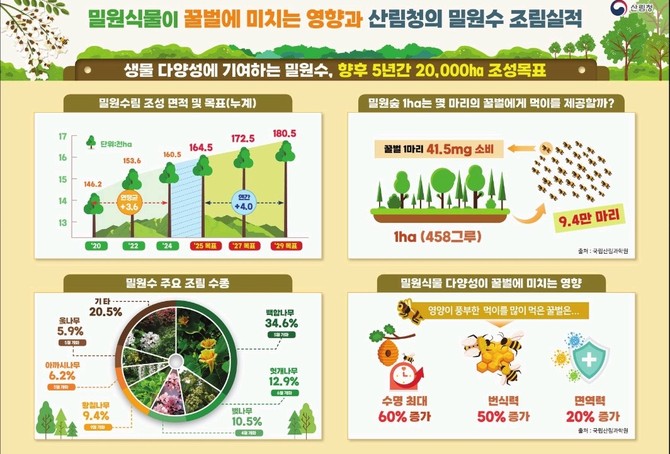 꿀벌 보호와 양봉산업 지원을 위한 밀원수림 조성 이미지. ⓒ 산림청