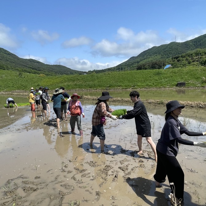 녹지공원·산림조합 직원이 함께 농촌일손돕기 하는 모습. ⓒ 고성군