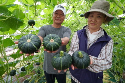 해남 계곡면 진수연 농가. ⓒ 해남군