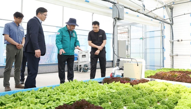 지난 27일 태안읍 시범농장에서 진행된 현장점검 모습. ⓒ 태안군