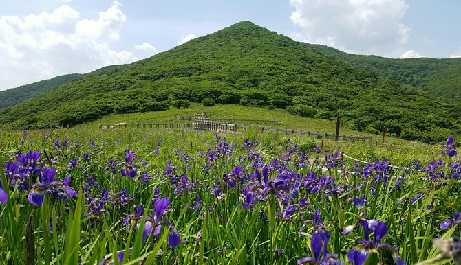 산림유전자원보호구역 곰배령 정상 모습. ⓒ 산림청