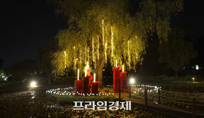 부여서동연꽃축제 야경. ⓒ 프라임경제