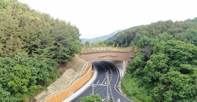 서산시 백두대간 생태축 복원 사업(후). ⓒ 산림청