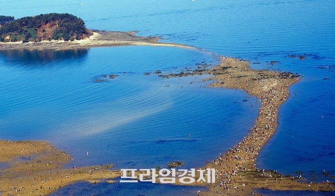 무창포해수욕장 신비의바닷길. ⓒ 프라임경제