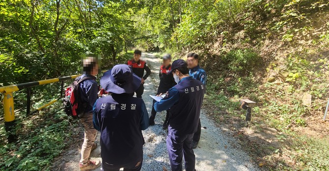 산림 내 불법행위 집중단속 모습. ⓒ 산림청
