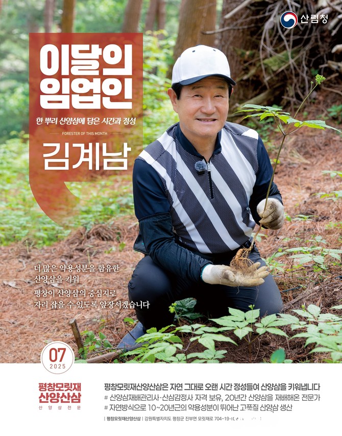 7월 이달의 임업인 포스터(평창 모릿재 산양산삼 김계남 씨). ⓒ 산림청