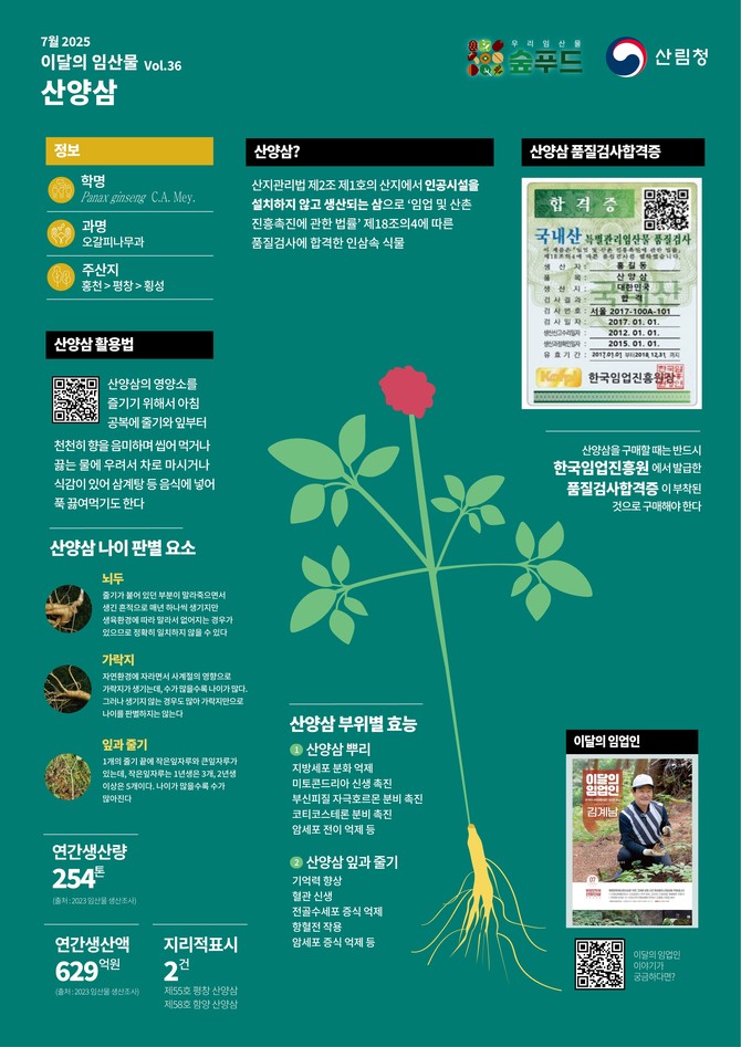 7월 이달의 임산물 '산양삼' 포스터. ⓒ 산림청