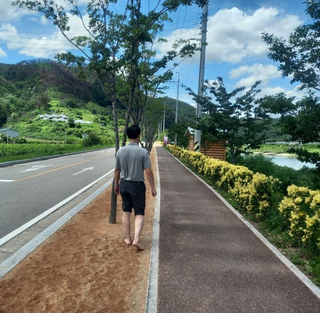 영덕군 오십천 변 황금사철 거리와 맨발 황톳길. ⓒ 영덕군