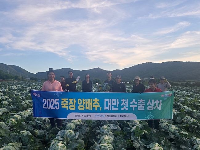 23일 포항시는 죽장 지역 특산물인 양배추가 대만으로 첫 수출길에 올랐다. ⓒ 포항시