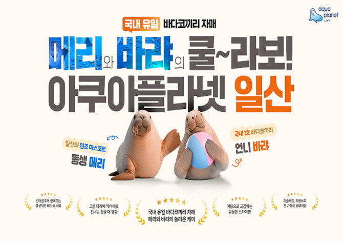 아쿠아플라넷 일산과 광교에서 새로운 체험 콘텐츠를 선보인다. © 아쿠아플라넷