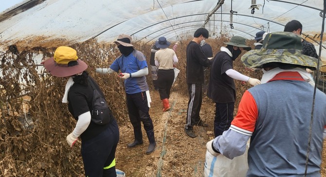 지난 31일 예산군민들의 신속한 일상 복귀를 돕기 위해 대대적인 자원봉사 활동을 하고 있다. ⓒ 예산군