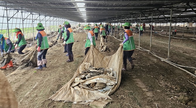지난 3일 집중호우로 큰 피해를 입은 예산군 관내 비닐하우스 농가를 찾아 수해 복구 지원 봉사활동을 하고 있다. ⓒ 부여군