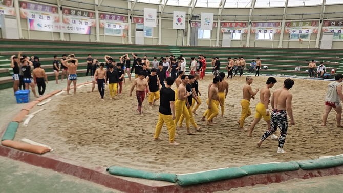 2025 '하계 전지훈련으로 여름 스포츠 열기' 후끈. ⓒ 고성군