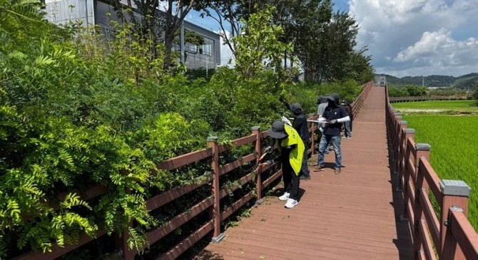 예당관광지 일제 점검 모습. ⓒ 예산군