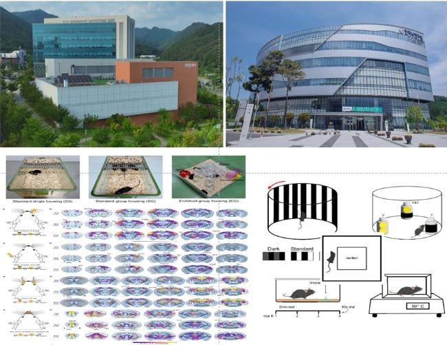도식화한 연구과정 및 실험. ⓒ 케이메디허브